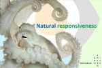 Lezing "Natural responsiveness"